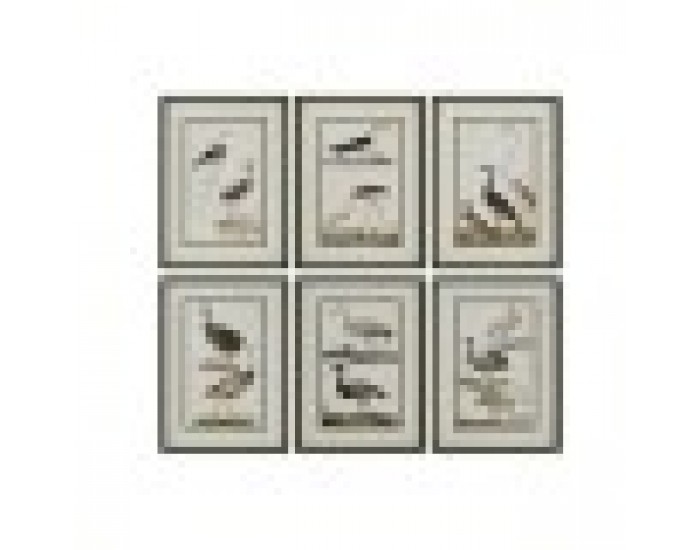 Картина Home ESPRIT Птици Cottage 40 x 2,5 x 54 cm (6 броя)