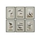 Картина Home ESPRIT Птици Cottage 40 x 2,5 x 54 cm (6 броя)