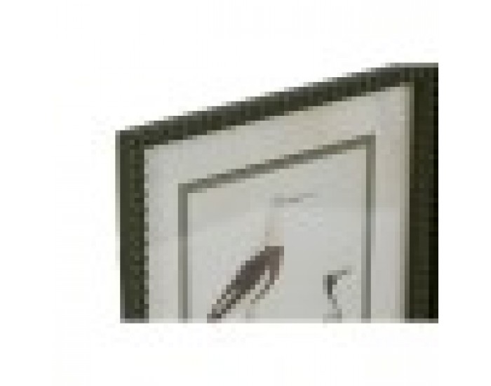 Картина Home ESPRIT Птици Cottage 40 x 2,5 x 54 cm (6 броя)