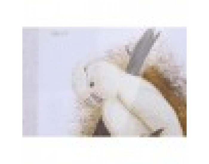 Пластно DKD Home Decor (50 x 2,8 x 65 cm) (50 x 65 x 2.8 cm) (4 броя)