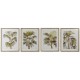 Картина Home ESPRIT Палми Тропически 55 x 2,5 x 70 cm (4 броя)