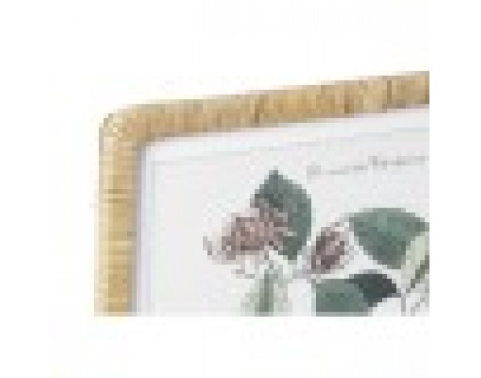 Картина DKD Home Decor Ботанически растения (50 x 2,5 x 65 cm) (4 броя)