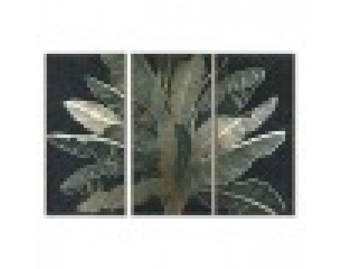 Комплект от 3 снимки Home ESPRIT Палми Тропически 180 x 4 x 120 cm (3 Части)