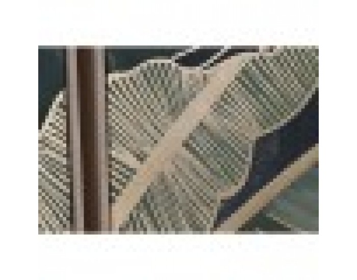 Комплект от 3 снимки Home ESPRIT Палми Тропически 180 x 4 x 120 cm (3 Части)