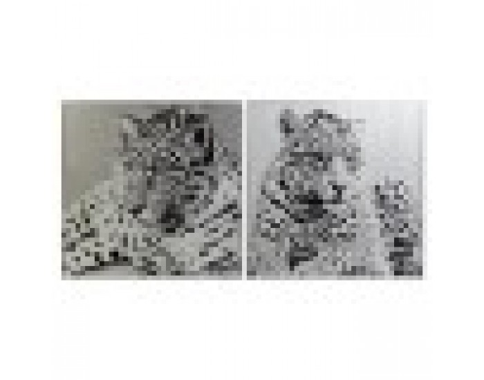 Картина DKD Home Decor Леопард Колониален (100 x 2,5 x 100 cm) (2 броя)