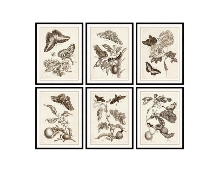 Картина DKD Home Decor Lilled (50 x 2.5 x 65 cm) (6 pcs)