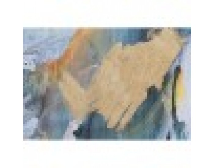 Пластно Home ESPRIT Син Розов полистирен Пластно Абстрактен Модерен 94 x 4 x 123,5 cm (2 броя)