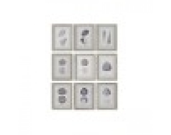 Картина Home ESPRIT Корал 35 x 2 x 45 cm (9 броя)