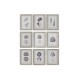 Картина Home ESPRIT Корал 35 x 2 x 45 cm (9 броя)