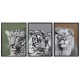 Картина DKD Home Decor Колониален Джунгла (67 x 3 x 93 cm) (3 броя)