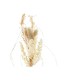 Luminous Decoration DKD Home Decor Цвете Кристал LED (12 x 12 x 22 cm)