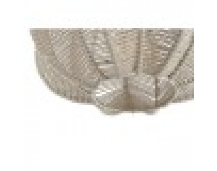 Полилей Home ESPRIT Бежов Въже 50 W 40 x 40 x 35 cm