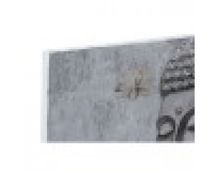 Картина DKD Home Decor Бор Пластно Буда (2 pcs) (120 x 2.8 x 80 cm)