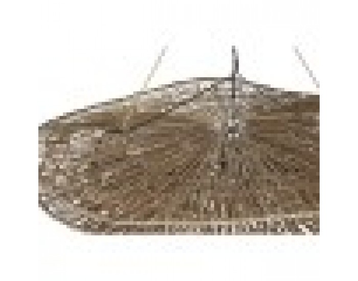 Полилей Home ESPRIT 50 W 120 x 82 x 32 cm