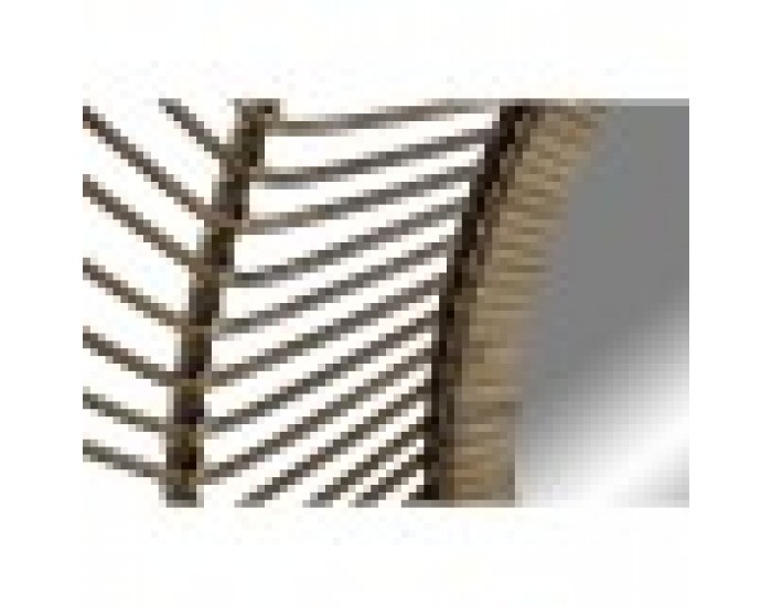 Стенно огледало Home ESPRIT Естествен Тропически 110 x 2,5 x 110 cm