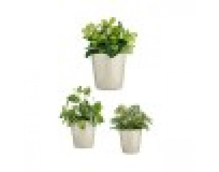 Комплект Саксии за цветя Ø 14 cm Ø 22 cm Ø 17 cm Cónica 3 Части Сив