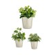 Комплект Саксии за цветя Ø 14 cm Ø 22 cm Ø 17 cm Cónica 3 Части Сив