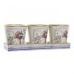 Комплект Саксии за цветя DKD Home Decor Розов Златен PVC (38 x 13 x 14 cm) (3 Части) - Articole de grădinărit, ghivece, sisteme de irigare