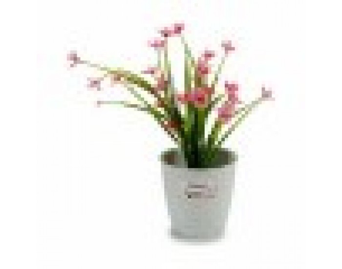 Саксия Stefanplast Бял Пластмаса 14 x 13 x 14 cm (12 броя)