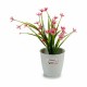 Саксия Stefanplast Бял Пластмаса 14 x 13 x 14 cm (12 броя)