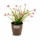 Саксия Stefanplast Кафяв Пластмаса 14 x 13 x 14 cm (12 броя)