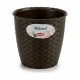 Саксия Stefanplast Пластмаса 14 x 13 x 14 cm (12 броя)