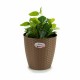 Саксия Stefanplast Кафяв Пластмаса 24 x 22,5 x 24 cm (6 броя)