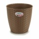 Саксия Stefanplast Кафяв Пластмаса 24 x 22,5 x 24 cm (6 броя)