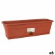 Саксия с Чинийка Dem Greentime Квадратен Кафяв 60 x 20 x 17,3 cm (6 броя)