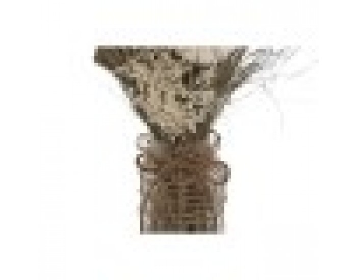 Букет Home ESPRIT Многоцветен Естествен Кристал Сухо цвете 20 x 10 x 50 cm (3 броя)