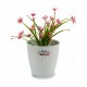 Саксия Stefanplast Бял Пластмаса 19 x 17,5 x 19 cm (12 броя)