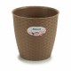 Саксия Stefanplast Кафяв Пластмаса 19 x 17,5 x 19 cm (12 броя)