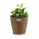 Саксия Stefanplast Кафяв Пластмаса 29 x 27 x 29 cm (6 броя)