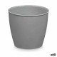 Саксия Stefanplast Academy Пластмаса 11,3 x 10 x 11,3 cm (60 броя)