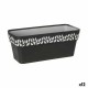 Самополиваща Сеялка Stefanplast Cloe Антрацит Пластмаса 13,3 x 12,3 x 29,3 cm (12 броя)