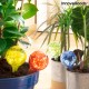 Автоматични Напоителни Балони Ballwooters InnovaGoods 4 броя