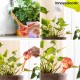 Автоматични Напоителни Балони Ballwooters InnovaGoods 4 броя