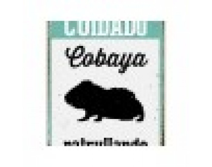 Табелка Magnet & Steel Cuidado Cobaya Patrullando 14,8 x 21 cm