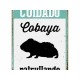 Табелка Magnet & Steel Cuidado Cobaya Patrullando 14,8 x 21 cm