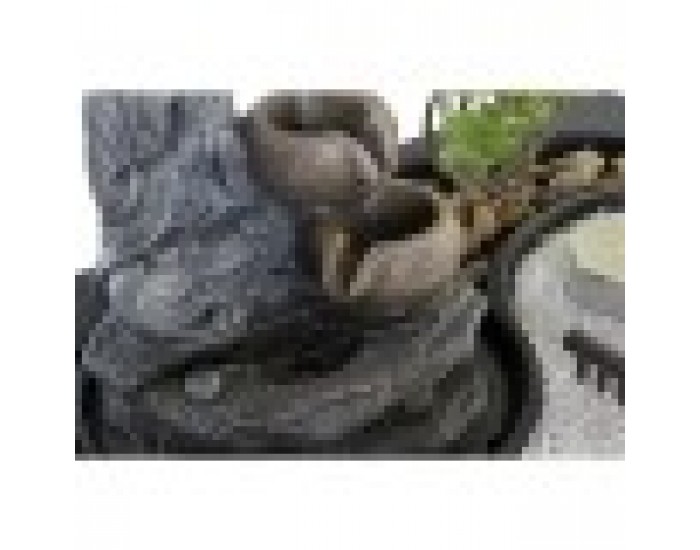 Purskkaev DKD Home Decor Буда Смола Ориенталски (2 броя) (29 x 21 x 23 cm)