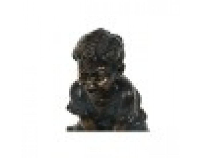 Градински фонтан DKD Home Decor 88,5 x 47 x 47 cm Смола