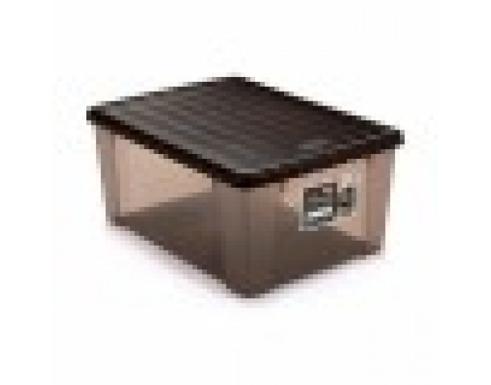 Кутия за Съхранение с Капак Stefanplast Elegance Кафяв Пластмаса 15 L 29 x 17 x 39 cm (6 броя)