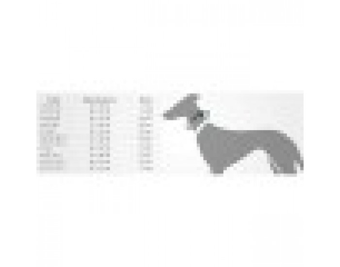 Кучешки Нашийник Rosanto Pets, Черен