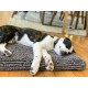 Легло за Куче Dog Gone Smart 53 x 76 cm Сив