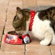 Хранилка за кучета Minnie Mouse меламин 410 ml Метал Многоцветен