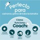 Пътническа Чанта Coachi Train & Treat Син