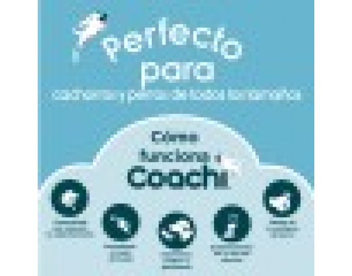 Пътническа Чанта Coachi Train & Treat Син