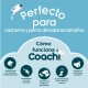 Пътническа Чанта Coachi Train & Treat Син