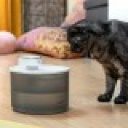 Акумулаторен Фонтан за Котки със Сензор Refopet InnovaGoods - Innovagoods