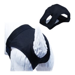 Бикини Gloria Slip Куче полиестер Размер 1 (24-31 cm) - Animale de companie